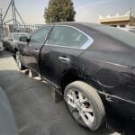 قير  نيسان مكسيما 2010